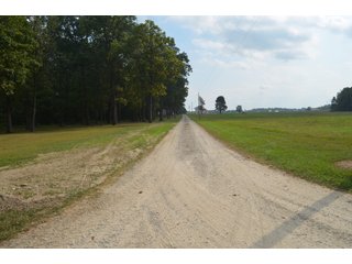 Dekalb County, Indiana Farmland - MAJOR LAND AUCTION - 516+/- ACRES OFFERED IN 18 TRACTS OR COMBINATIONS IN DEKALB COUNTY, INDIANA